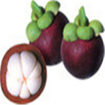 mangosteen fruit pulp powder